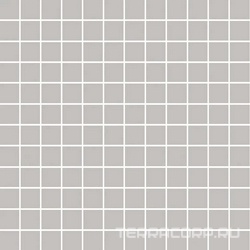 Темари серый светлый матовый 29,8x29,8x0,35