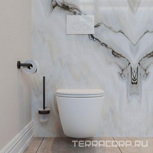 Клавиша двойного смыва для инстал., д/унитаза, (пластик цв.белый глянец),  ZZ Aqueduto Circulo CIR0210