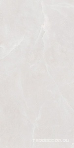 Керамогранит WIFI Ceramics Shell  Ice Struct.60x120 Серый 