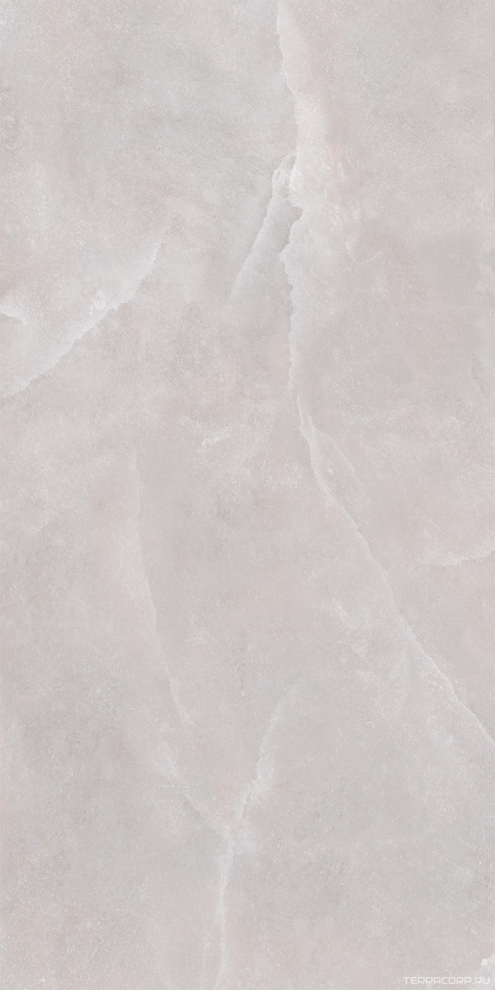 Керамогранит WIFI Ceramics Shell Smoke Struct.60x120 Серый, фото 3