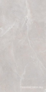 Керамогранит WIFI Ceramics Shell  Smoke Struct.60x120 Серый 