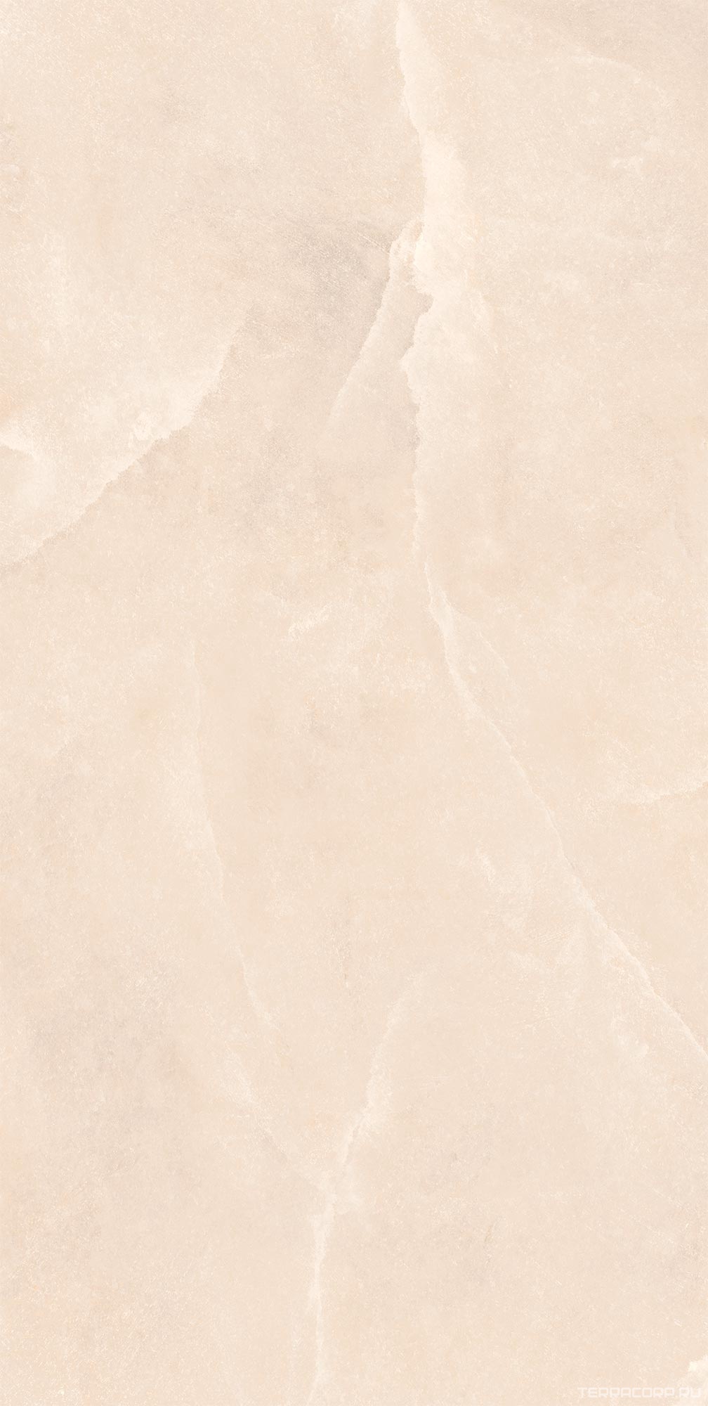 Керамогранит WIFI Ceramics Shell Sand Struct.60x120 Серый, фото 3