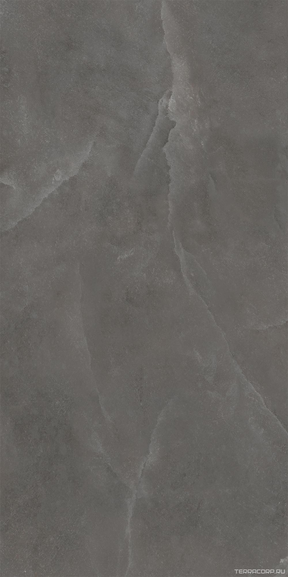 Керамогранит WIFI Ceramics Shell Grey Struct.60x120 Серый, фото 3