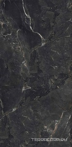 Керамогранит FMAX FMAX Rembrandt Black mat 90x180 Черный 