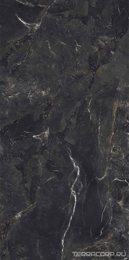Керамогранит FMAX FMAX Rembrandt Black mat 90x180 Черный, фото 6