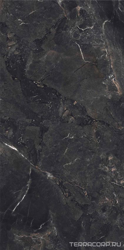 Керамогранит FMAX FMAX Rembrandt Black mat 90x180 Черный, фото 3