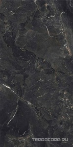 Керамогранит FMAX FMAX Rembrandt Black mat 90x180 Черный 