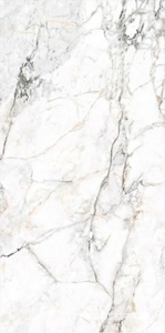 Керамогранит FMAX FMAX Fendi White mat 90x180 Комбинированный 