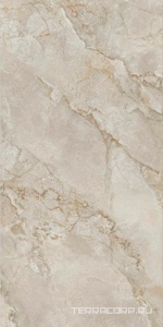 Керамогранит FMAX FMAX Brown Jade mat 90x180 Коричневый 