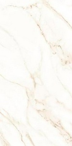 Керамогранит Axima Dortmund  серая 60x120 ZZ Серый 