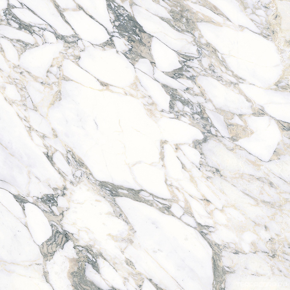 Керамогранит Ariostea Ultra Marmi Arabescato Statuario Prelucidato (Soft) 6 mm 75х75 Серый, фото 5
