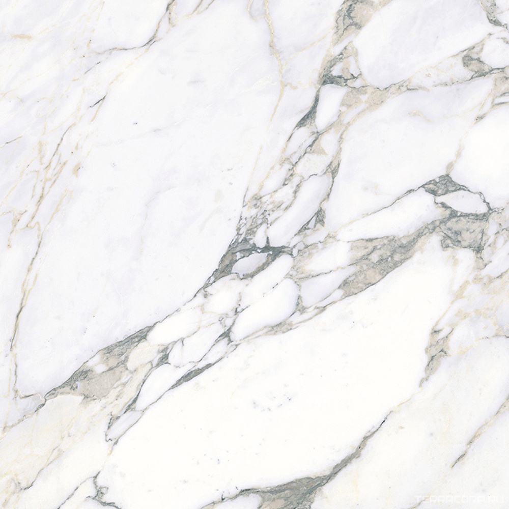 Керамогранит Ariostea Ultra Marmi Arabescato Statuario Prelucidato (Soft) 6 mm 75х75 Серый, фото 4
