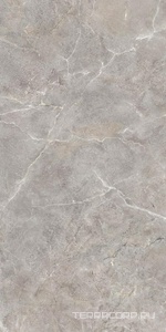 Керамогранит Cersanit Castello Глаз. керамогранит  серый рельеф ректификат  44,8x89,8 Серый 