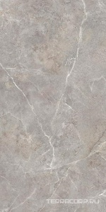 Керамогранит Cersanit Castello Глаз. керамогранит  серый рельеф ректификат  44,8x89,8 Серый 