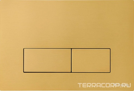 Панель смыва с двумя клавишами, для застеного модуля д/унитаза, (нерж. с сатин, gold PVD, покрытием против отпечатков пальцев),  S ZZ Tece TECEspring S240511
