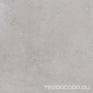 Керамогранит Гранитея Алатау  серый ГР403 мат /Alatau Grey G403 60x60 Серый 