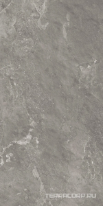Керамический гранит (керамогранит) Alpas Euro  Premium Marble XL Cotta Grafito Cotta Punch + Lap.80x160 Серый 