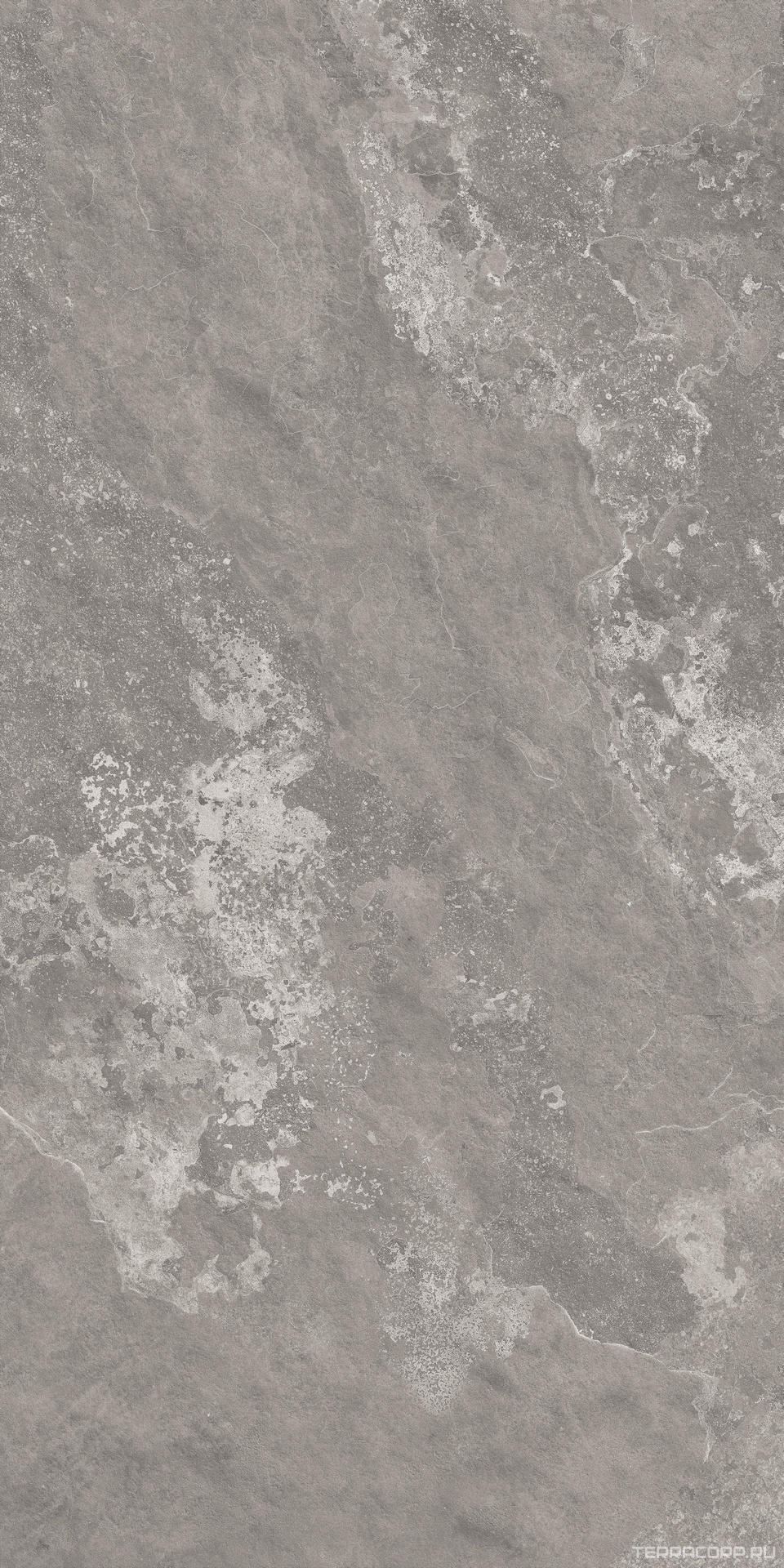 Керамический гранит (керамогранит) Alpas Euro Premium Marble XL Cotta Grafito Cotta Punch + Lap.80x160 Серый, фото 3