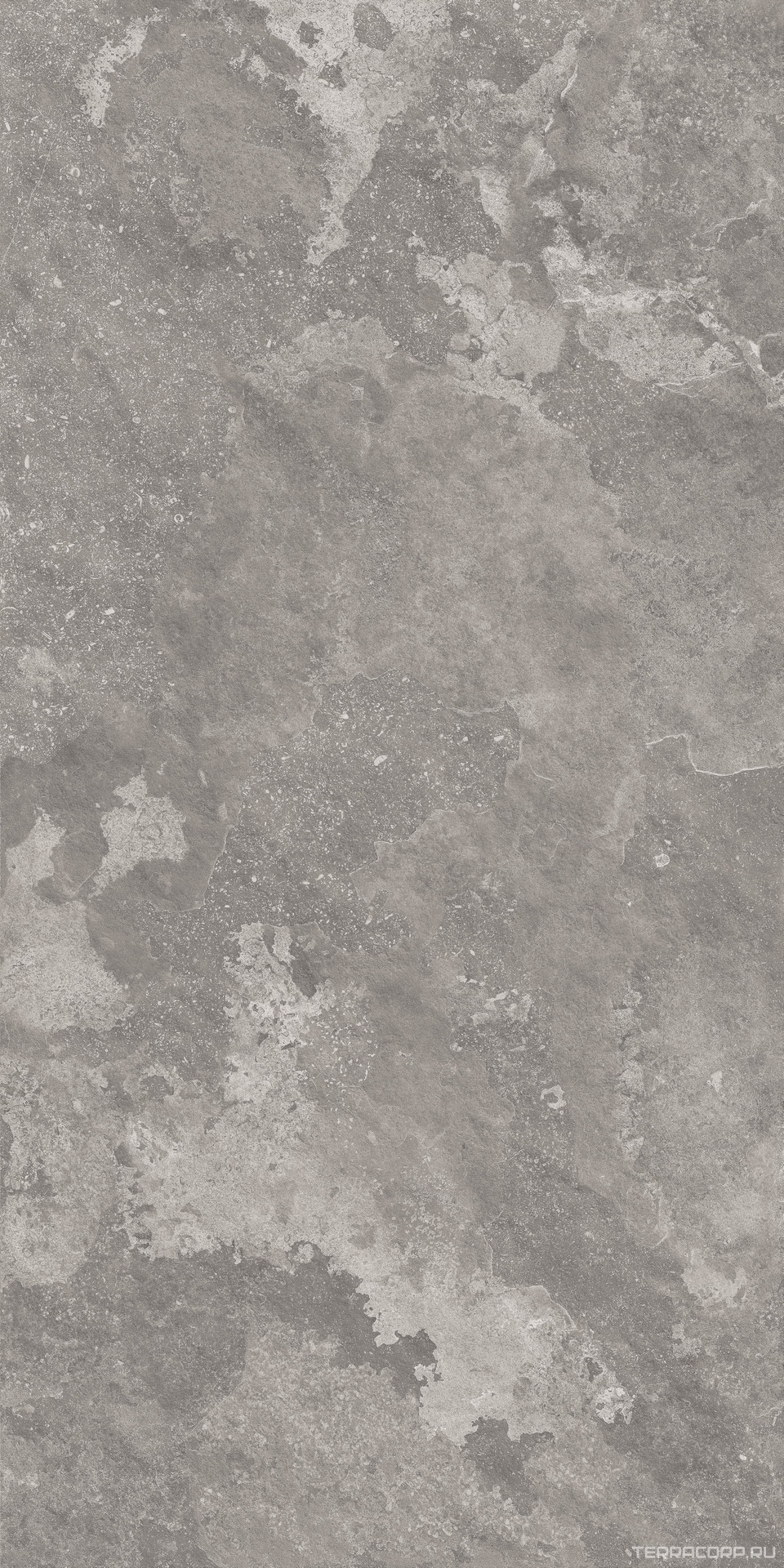 Керамический гранит (керамогранит) Alpas Euro Premium Marble XL Cotta Grafito Cotta Punch + Lap.80x160 Серый, фото 5