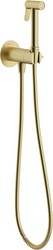 Смеситель совмещённый с гигиеническим душем, готовый комплект: лейка, шланг, скрытая часть, прогрессивный картридж, (цв.шлифованное золото),  ZZ Aqueduto PUREZA PUR0150