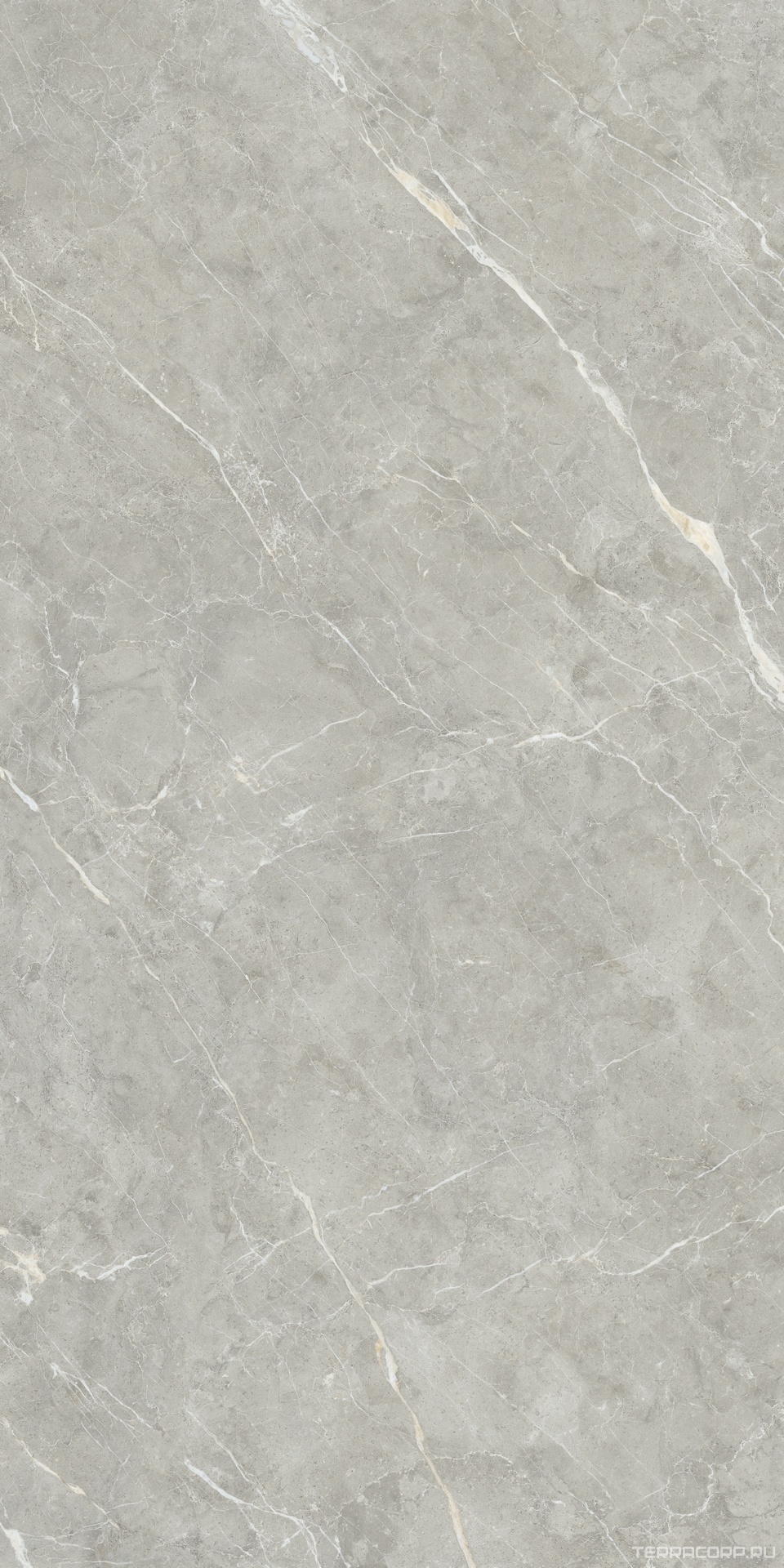 Керамический гранит (керамогранит) Alpas Euro Premium Marble XL Rock Quill Grey Carving 80x160 Серый, фото 5