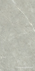Керамический гранит (керамогранит) Alpas Euro  Premium Marble XL Rock Quill Grey Carving 80x160 Серый 