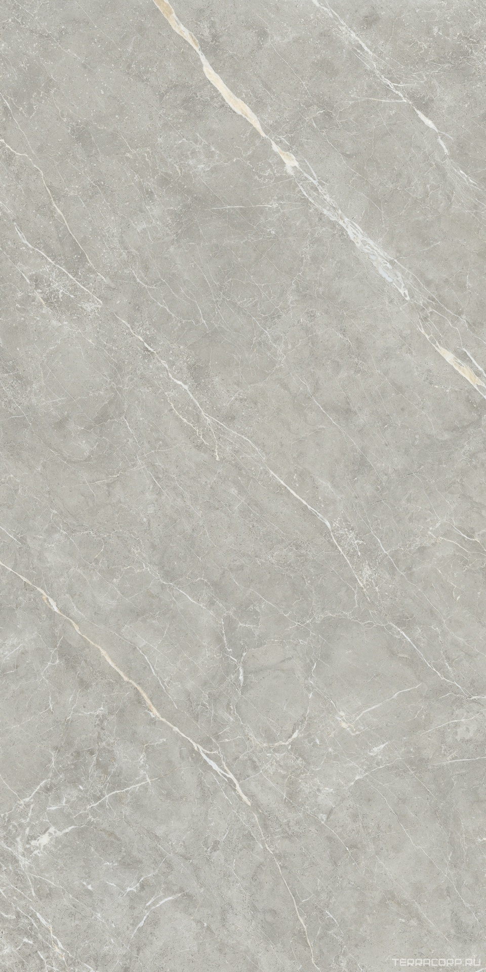 Керамический гранит (керамогранит) Alpas Euro Premium Marble XL Rock Quill Grey Carving 80x160 Серый, фото 6