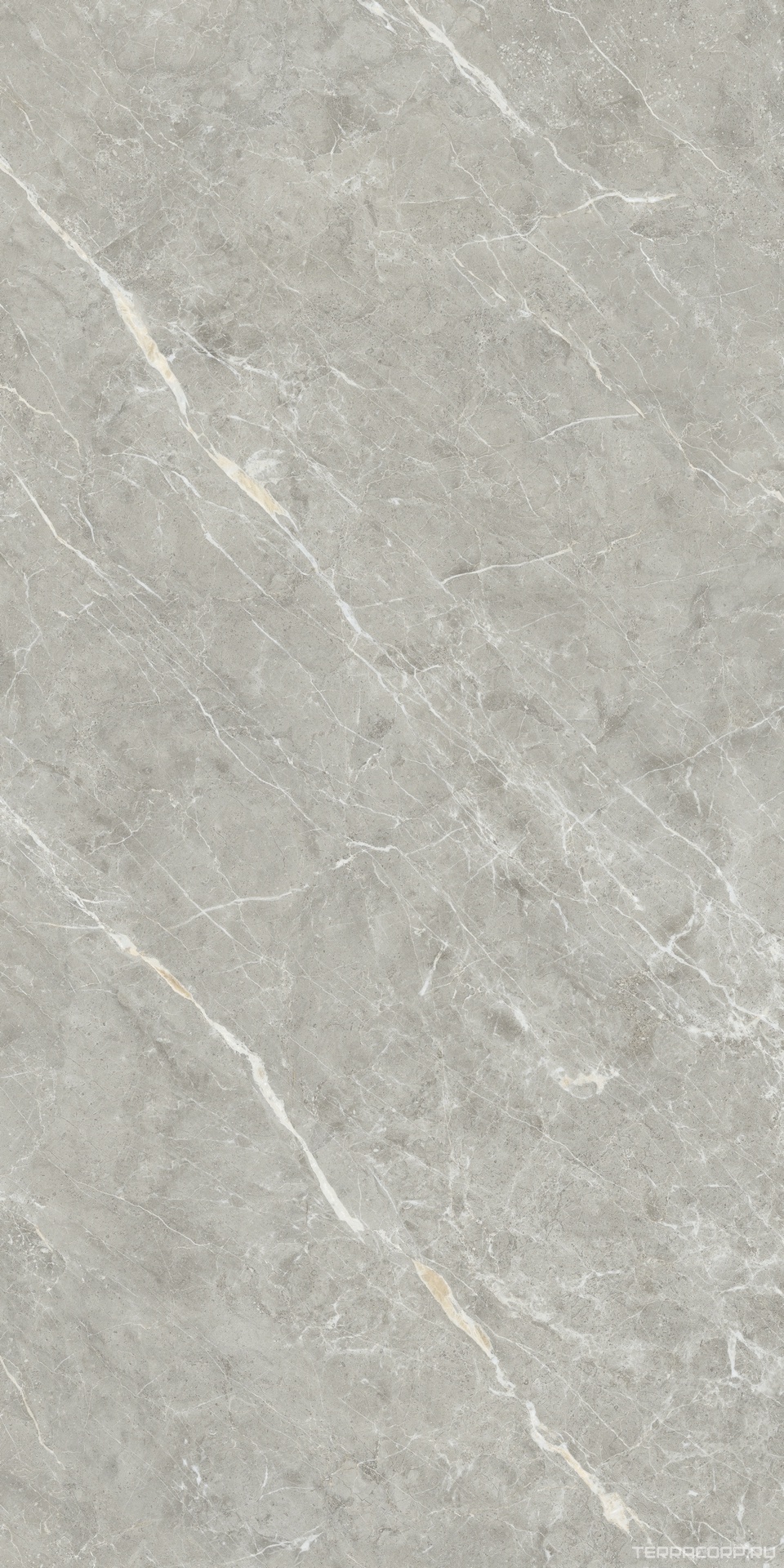 Керамический гранит (керамогранит) Alpas Euro Premium Marble XL Rock Quill Grey Carving 80x160 Серый, фото 3