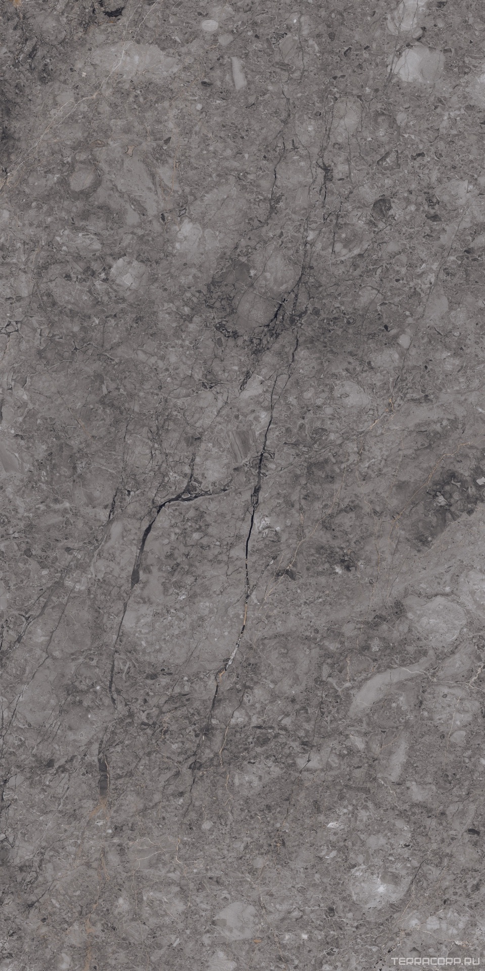 Керамический гранит (керамогранит) Alpas Euro Premium Marble XL Rock William Grey Carving 80x160 Серый, фото 3