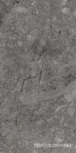 Керамический гранит (керамогранит) Alpas Euro  Premium Marble XL Rock William Grey Carving 80x160 Серый 