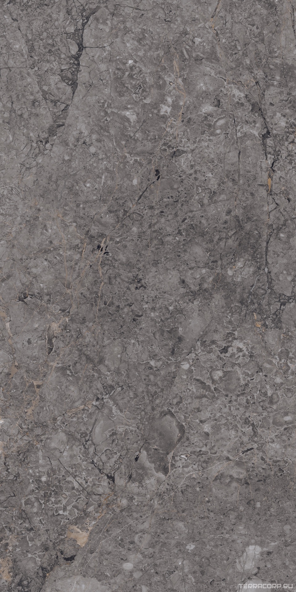 Керамический гранит (керамогранит) Alpas Euro Premium Marble XL Rock William Grey Carving 80x160 Серый, фото 5