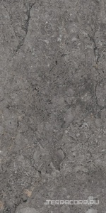 Керамический гранит (керамогранит) Alpas Euro  Premium Marble XL Rock William Grey Carving 80x160 Серый 