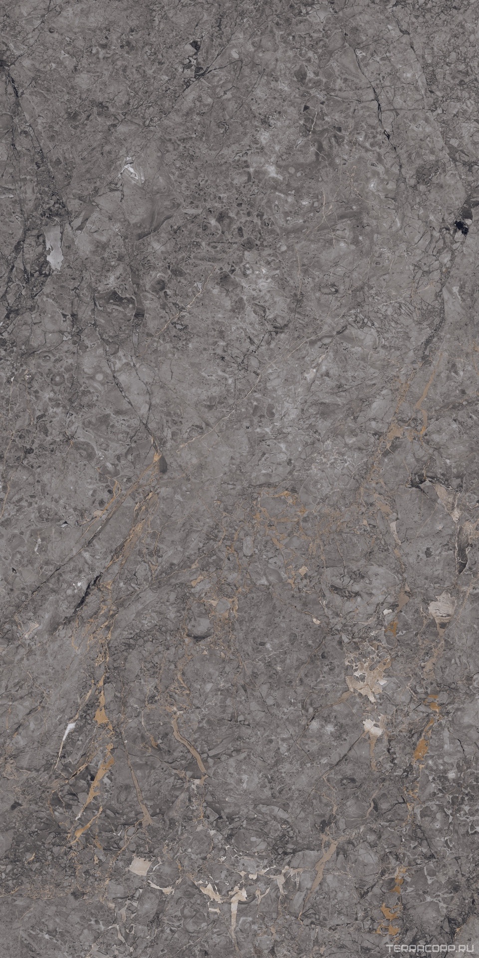 Керамический гранит (керамогранит) Alpas Euro Premium Marble XL Rock William Grey Carving 80x160 Серый, фото 4
