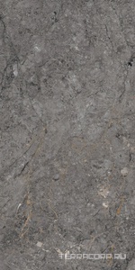 Керамический гранит (керамогранит) Alpas Euro  Premium Marble XL Rock William Grey Carving 80x160 Серый 