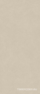 Керамогранит Atlas Concorde Italy Boost Natural Pro  Cinder 120x278 Бежевый 