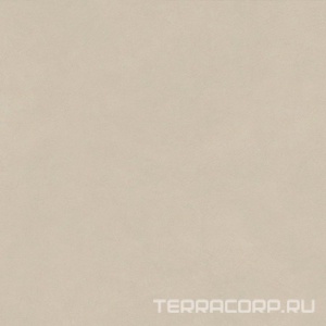 Керамогранит Atlas Concorde Italy Boost Natural Pro  Cinder  Grip 120x120 Бежевый 