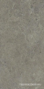 Керамогранит Atlas Concorde Italy Nyra  Meteor matt 60x120  Серый 