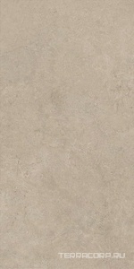 Керамогранит Atlas Concorde Italy Boost Vision  Ash matt 60x120  Бежевый 