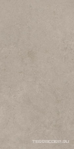 Керамогранит Atlas Concorde Italy Boost Vision  Grey matt 60x120  Серый 