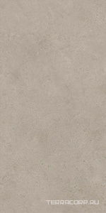 Керамогранит Atlas Concorde Italy Boost Vision  Grey matt 60x120  Серый 