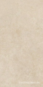 Керамогранит Atlas Concorde Italy Boost Vision  Camel matt 60x120  Бежевый 