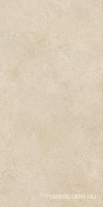 Керамогранит Atlas Concorde Italy Boost Vision  Camel matt 60x120  Бежевый 