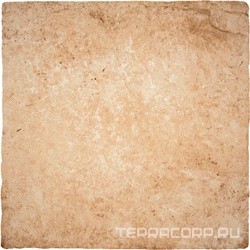 Pietra di Lecce Ambra |50x50