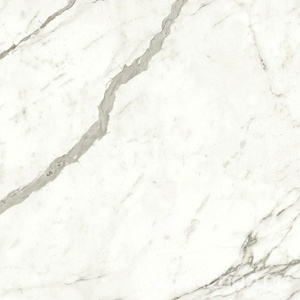 Керамогранит Atlas Concorde Italy Marvel Shine Marvel Statuario Supremo Lapp. 120x120 Белый 