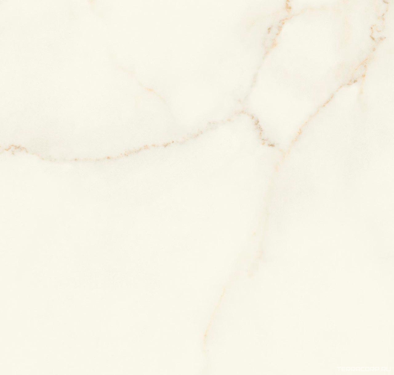 Керамогранит Atlas Concorde Italy Marvel X Marvel Calacatta Apuano Matt 60x60 Белый, фото 5