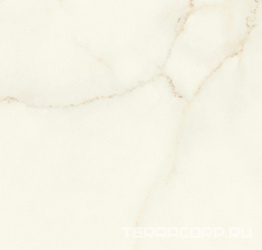 Marvel Calacatta Apuano Matt ZZ 60x60