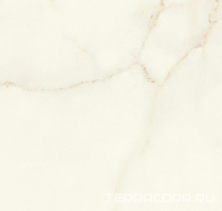 Керамогранит Atlas Concorde Italy Marvel X Marvel Calacatta Apuano Matt 60x60 Белый 