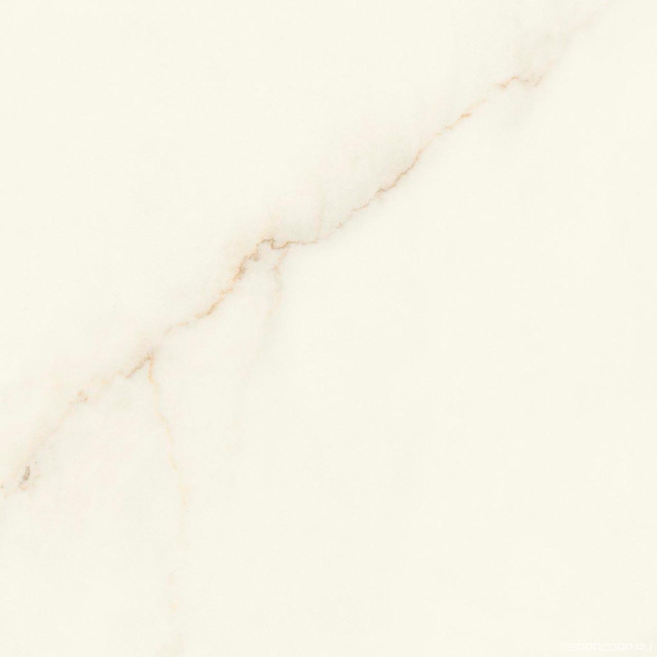Керамогранит Atlas Concorde Italy Marvel X Marvel Calacatta Apuano Matt 60x60 Белый, фото 6