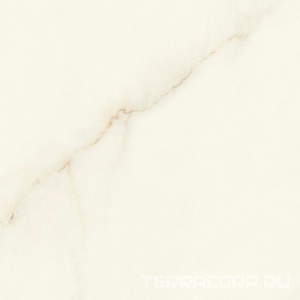 Керамогранит Atlas Concorde Italy Marvel X Marvel Calacatta Apuano Matt 60x60 Белый 