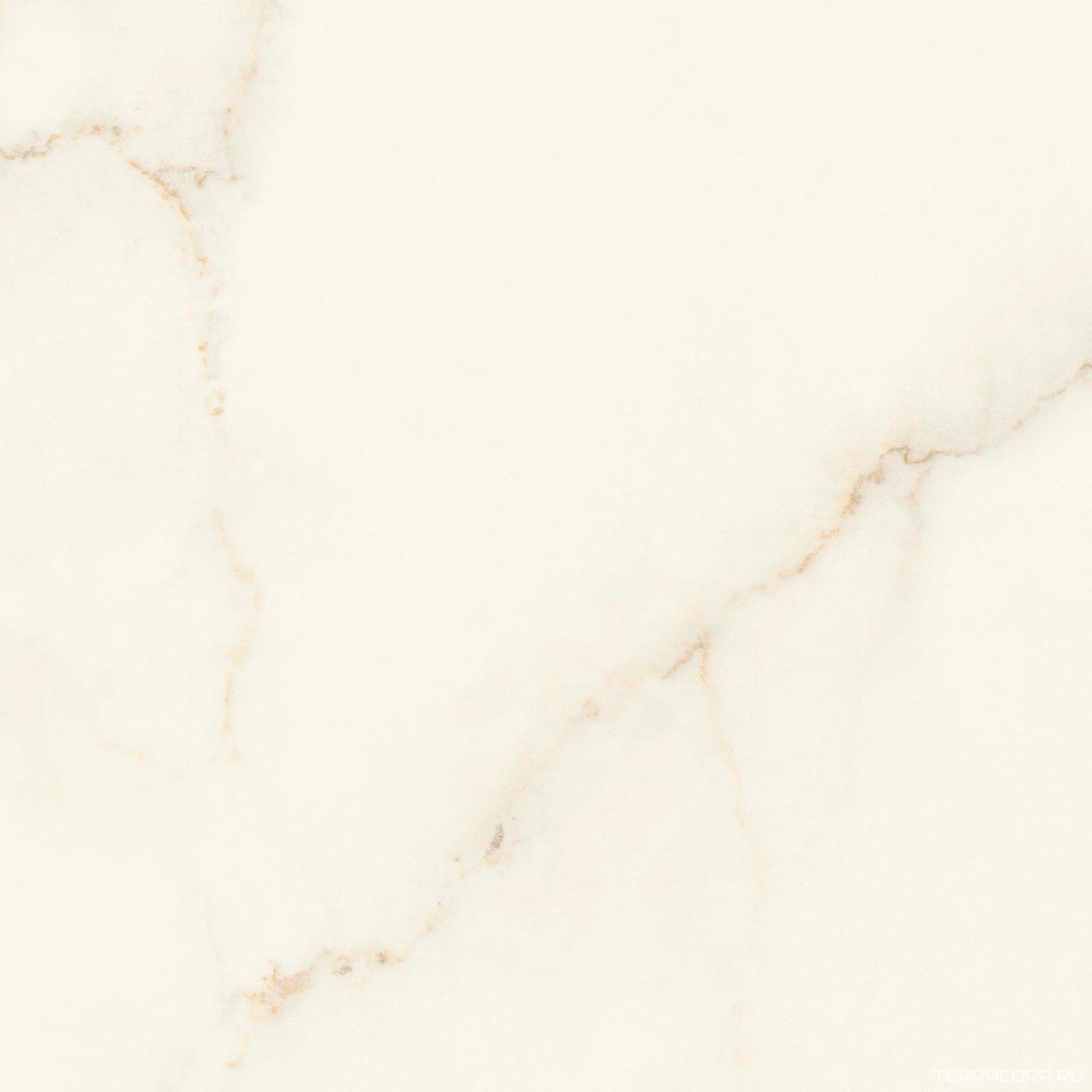 Керамогранит Atlas Concorde Italy Marvel X Marvel Calacatta Apuano Matt 60x60 Белый, фото 7